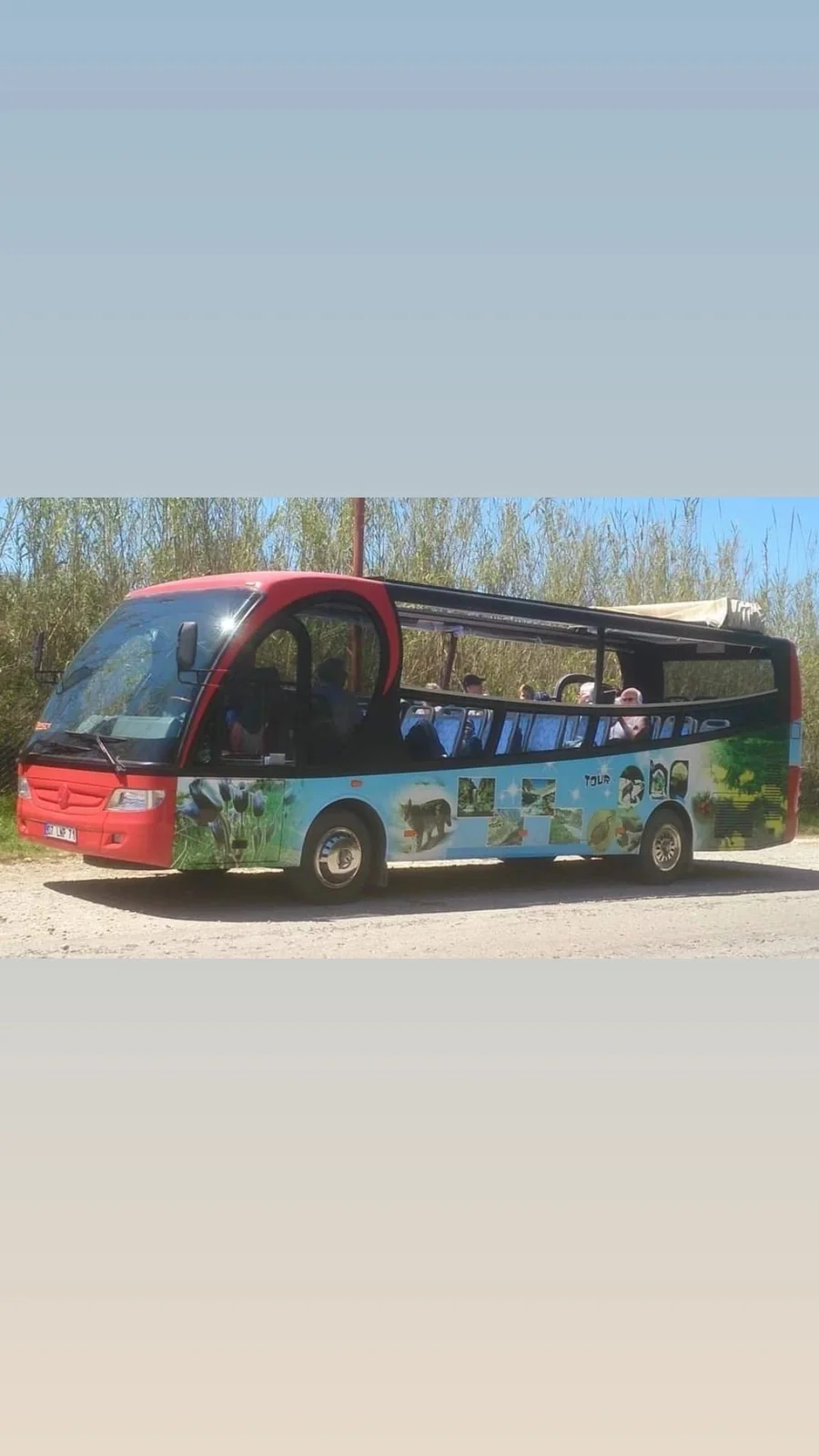 Safari route